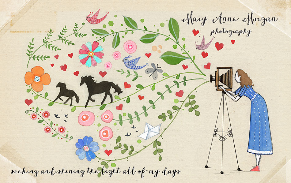 Mary Anne Morgan Blog